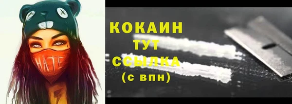 дурь Пестово