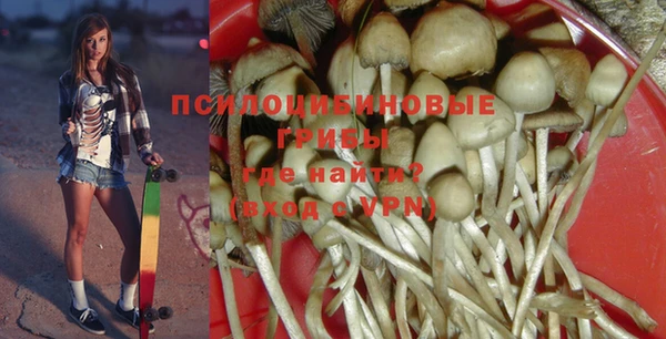 дурь Пестово