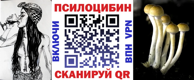 Галлюциногенные грибы Cubensis  ОМГ ОМГ как войти  Арсеньев 